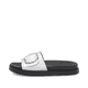 silber/platin