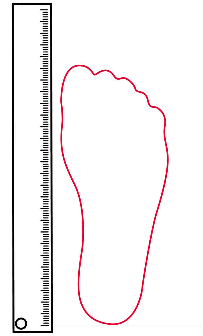 Fußmess-Diagramm